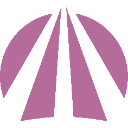Purple abstract sunburst shape with four radiating segments.