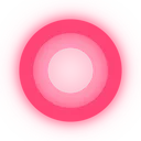 salmonhuebullet