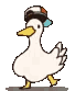 :GnE_DuckDance: