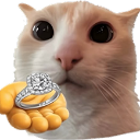 marry custom emote from /sleepy
