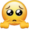 Pleasee Discord Emoji | The Cool Server!