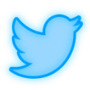 215782neontwitterbird