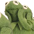 4842infinitekermit