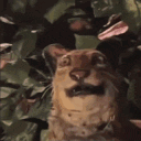 excuseme animated Discord emote | Rabbit Hole