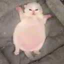 wqeeqweqw