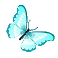 28801lightbluebutterfly