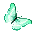 82421tealbutterfly