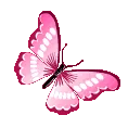 96336pinkbutterfly