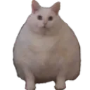 chonk
