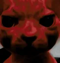 bingusangry