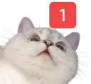 Nana_1ping