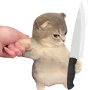 kitterknife