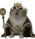 DroolingCatKing