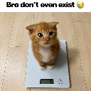 A small orange kitten sits on a digital scale looking up with a confused expression.