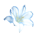 azul custom emote from ┊ 🪽    ⸝⸝     souling