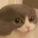 hmmm custom emote | Skeptiq's World