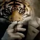 A tiger wearing a suit holds a cigar to its mouth in a gesture demanding silence.