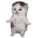 :ezcute: