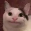 __ custom emote | Skeptiq's World