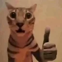 :emoji_3: