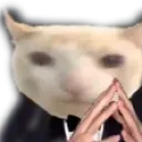 mrcat Discord Emoji - Skeptiq's World