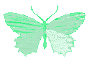 1luvv_butterfly_Green