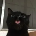 le