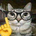Cat wearing black glasses holding up a yellow index finger in a correction gesture.