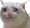 emoji_12 Discord sticker from 24/7 Endless Chill
