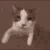 aMYS_ animated GIF emoji | #  `  𝗞𝗡𝗗𝗞 𝗙𝗮𝗺𝗶𝗹𝘆