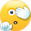 tmi animated Discord emote from frog pond