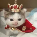 King_Kitty