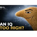 AN_IQ_TO_HIGH