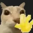 hii