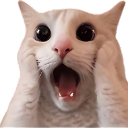 338635shocked custom emote from star's space ʚ☆ɞ