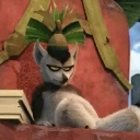 King Julien the lemur lounging with a smug and unimpressed expression.