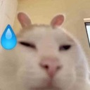 chiu Discord Emoji - Flash PhanTom