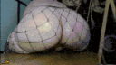 emoji_81 animated Discord emote from 𝙑𝙊𝙄𝘿