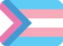 Transgender pride flag with horizontal stripes in blue, pink, and white.
