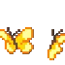 lyf_butterfly_orange