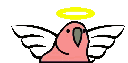 :aniolpapuga: