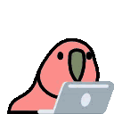 papugazlaptopem animated emote from GifyPlaysYT Server 🎃