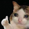 ok custom emote | Astra ✨