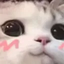 cz_uwu