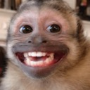 Monkey with a wide, toothy grin looking directly at the camera.