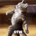 A tabby cat walking with a confident strut with the text OTW overlaid.