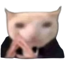 thinkingcat