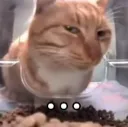 hm