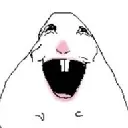 happy_hampter