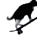 skateboard_kitty